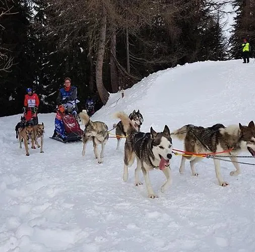 Lägenhet Zig-zag Les Coches *